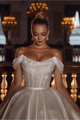 Vintage Hochzeitskleid Prinzessin | Brautkleid Mit Glitzer_2