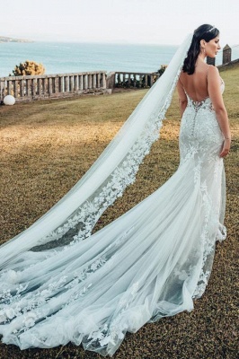 Wunderschöne Brautkleider V Ausschnitt | Hochzeitskleider Meerjungfrau Spitze_4