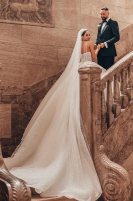 Vintage Hochzeitskleider A Linie | Spitze Brautkleider mit Glitzer_4
