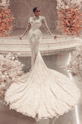 Modern Brautkleider mit Ärmel | Hochzeitskleider Meerjungfrau Spitze
